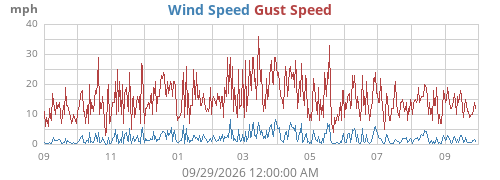 yearwind